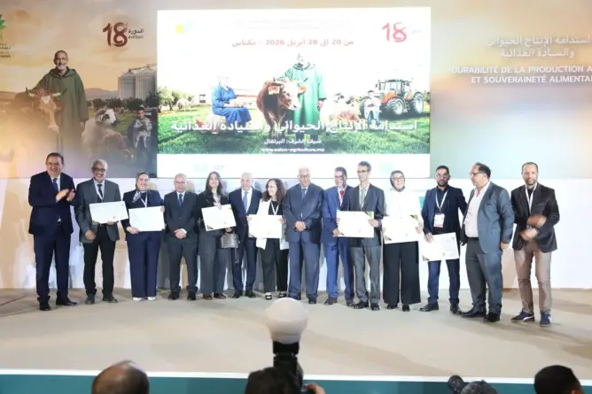 في دورته الـ18.. معرض الفلاحة بمكناس يتوج أفضل منتجي زيت الزيتون بالمغرب 