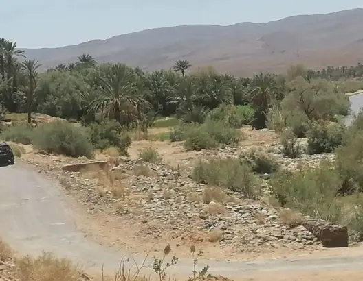 استنفار بزاكورة بعد العثور على جثة مجهولة بضفاف وادي درعة