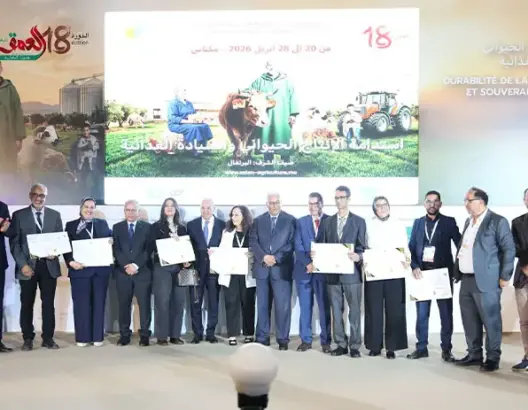تتويج أفضل منتجي زيت الزيتون