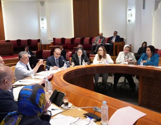 مشروع قانون المحاماة.. تحذيرات من “أجانب معادين” ورفض واسع لشرط “القدرة الصحية”