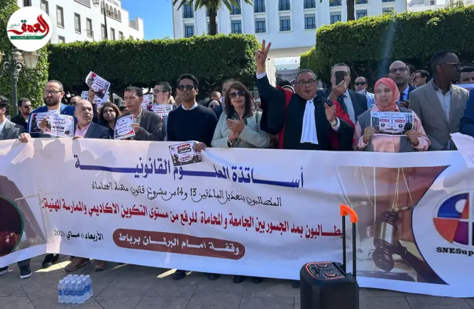 أساتذة القانون بالجامعات يحتجون أمام البرلمان