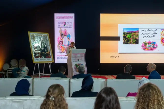 قلعة مكونة.. ندوة علمية تستشرف مستقبل الورد العطري بين العمق التاريخي ورهانات الاستدامة