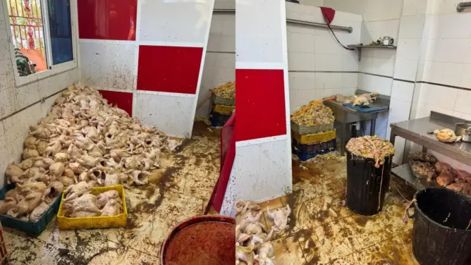 السلطات تداهم محلا للدجاج بطنجة وتحجز طنا من اللحوم الفاسدة