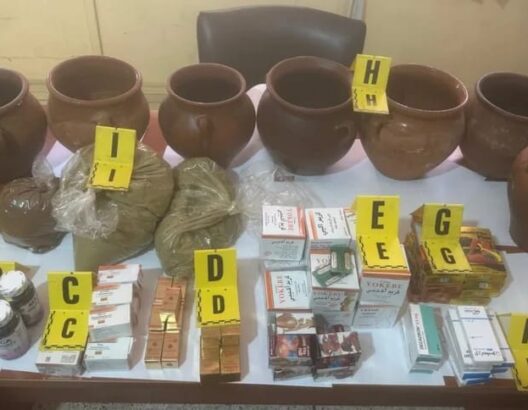 تفكيك شبكة نسائية لترويج أدوية مهربة وحجز أكثر من 4 آلاف وحدة صيدلانية