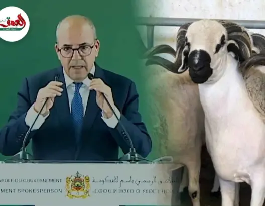 وزير الفلاحة :عرض الأضاحي يناهز 9 ملايين رأس