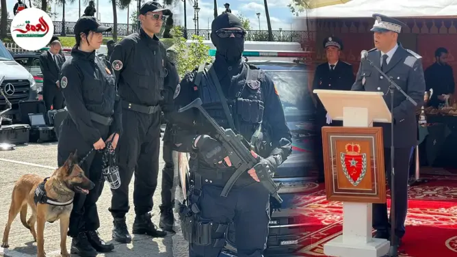 حصيلة أمنية ثقيلة بطنجة.. توقيف 45 ألف شخص وحجز أطنان من المخدرات خلال سنة