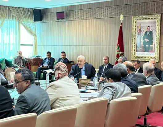 وزير الداخلية: أسواق الجملة الحالية تخلق “الشناقة” وسنتصدى لهم بقانون جديد