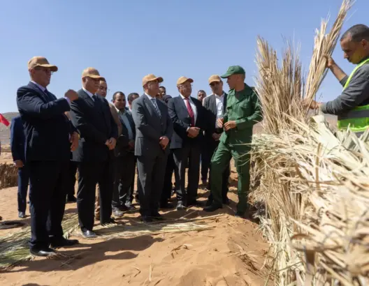 برنامج غابوي بميزانية تفوق ملياري درهم لتعزيز التنمية البيئية ومحاربة التصحر بدرعة تافيلالت