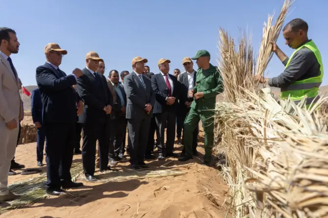 برنامج غابوي بميزانية تفوق ملياري درهم لتعزيز التنمية البيئية ومحاربة التصحر بدرعة تافيلالت