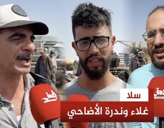 غلاء وندرة الأضاحي بسلا