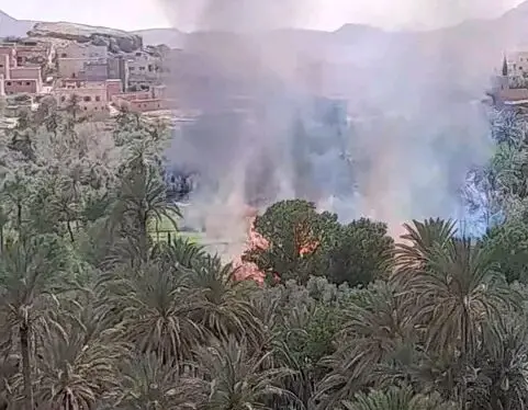 النيران تلتهم نخيل واحة “أسفالو” بتنغير.. ومخاوف من تكرار الحرائق بالمنطقة