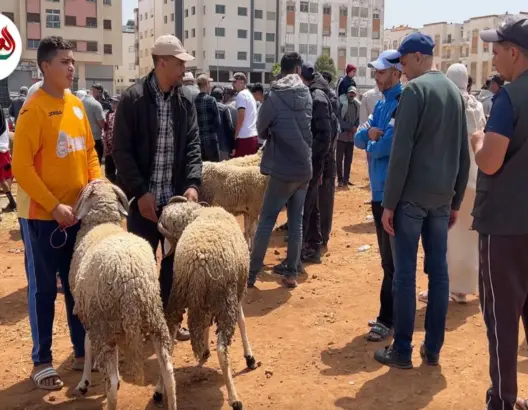 فراغ في رحبة الأضاحي بالجديدة