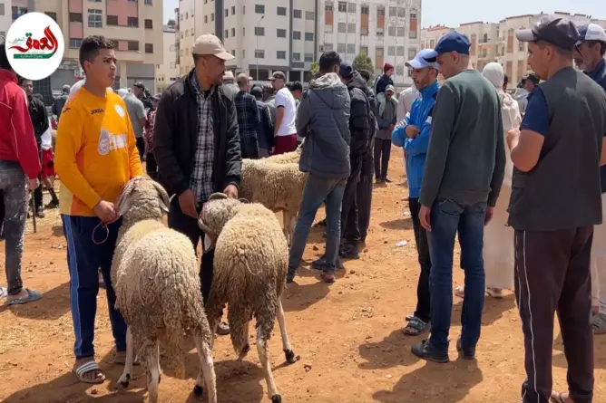 فراغ في رحبة الأضاحي بالجديدة