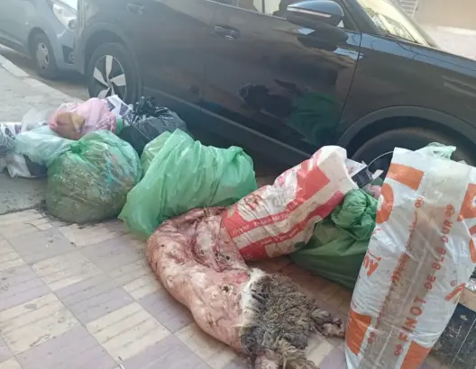 أزبال وجلود وأحشاء بشوارع مكناس.. “ميكومار” تفشل في اختبار عيد الأضحى وتثير الغضب