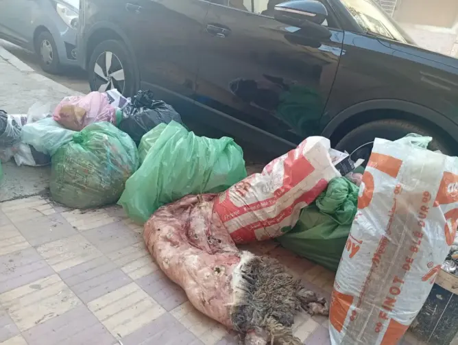 أزبال وجلود وأحشاء بشوارع مكناس.. “ميكومار” تفشل في اختبار عيد الأضحى وتثير الغضب
