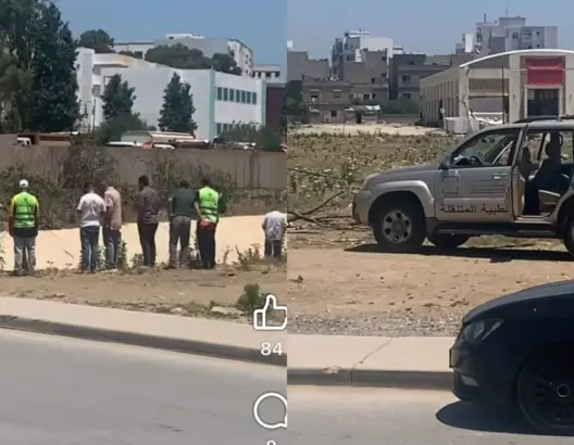 سلطات طنجة تنفي تسجيل إصابات بفيروس “هانتا” بكزناية