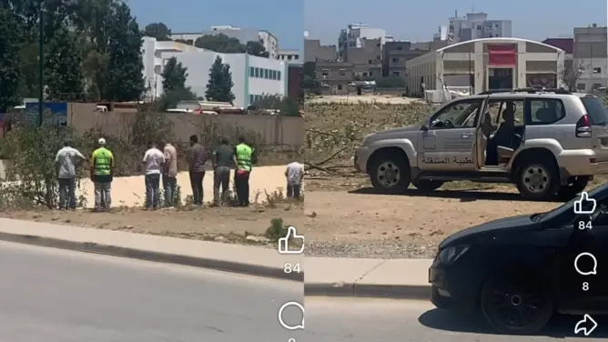 سلطات طنجة تنفي تسجيل إصابات بفيروس “هانتا” بكزناية