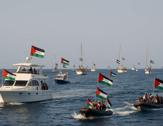 أسطول الصمود 2"