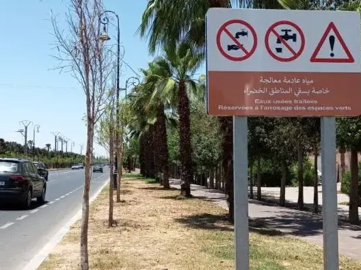 مدخل مراكش.. مساحات خضراء يطالها التلف والإهمال بعد أشهر من تأهيله