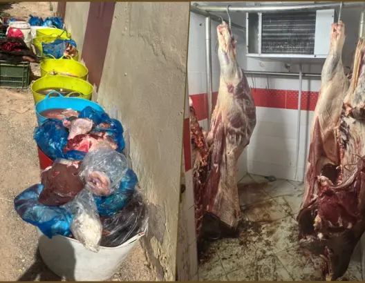 درك جرسيف يفكك وحدة سرية للذبح السري ويحجز 860 كيلوغراما من اللحوم