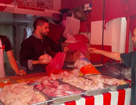 ركود تجاري حاد يخفض أسعار الدجاج ومهنيون يوضحون الأسباب