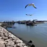 استنفار بحري وجوي للبحث عن قارب صيد اختفى قبالة آسفي وعلى متنه خمسة بحارة