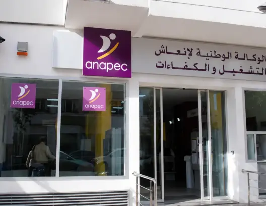 الحكومة تراجع أداء “أنابيك”.. إطلاق افتحاص شامل لإعادة رسم مستقبل وكالة التشغيل