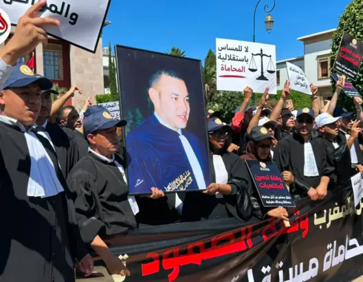 المحامون يتهمون وزير العدل بالانقلاب