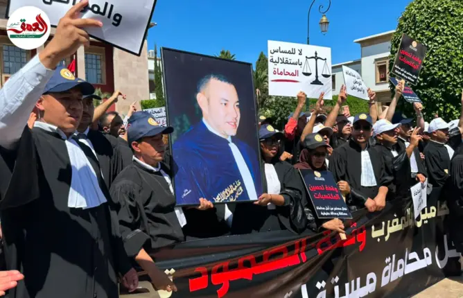 المحامون يتهمون وزير العدل بالانقلاب