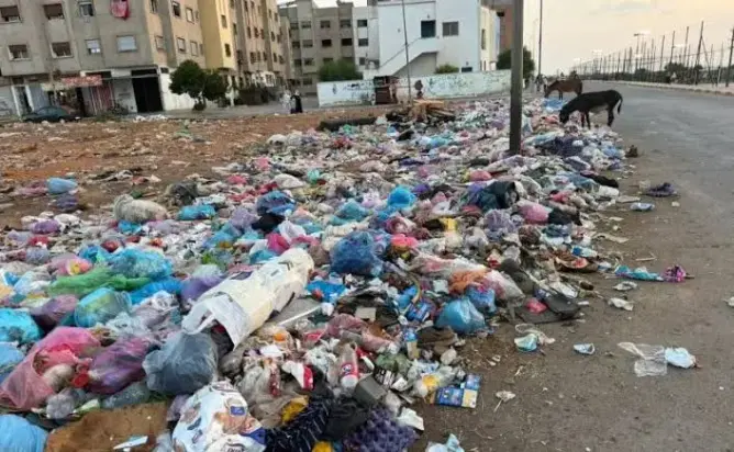 صيف المحمدية تحت وطأة الأزبال.. فدرالية اليسار تطالب بمحاسبة شركة النظافة