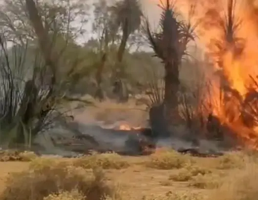 حريق مهول يلتهم حقول قصر الخربات بتنجداد.. ومطالب متجددة بإحداث مركز للوقاية المدنية