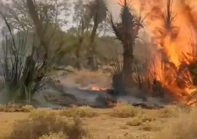 حريق مهول يلتهم حقول قصر الخربات بتنجداد.. ومطالب متجددة بإحداث مركز للوقاية المدنية