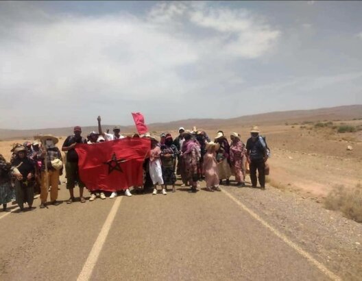 مجموعة تحمل علم المغرب في مسيرة احتجاجية بصحراء الرشيدية