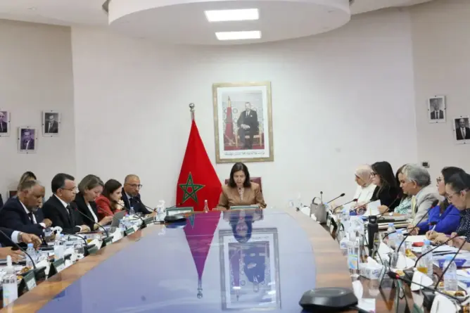 الدريوش تضع البحث العلمي في صلب استراتيجية حماية الثروة السمكية بالمغرب