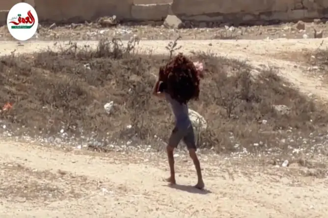 مهنيو الطحالب: “مافيا الاستنزاف” تهدد الثروة البحرية
