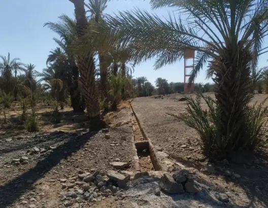 منطقة صحراوية بأشجار نخيل وبرج مائي أحمر في خلفية سماء صافية