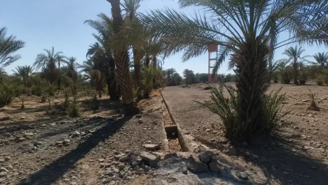 منطقة صحراوية بأشجار نخيل وبرج مائي أحمر في خلفية سماء صافية