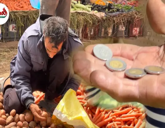 تراجع أسعار الخضر بأولاد فرج يثير الجدل