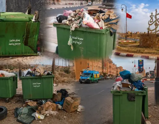 مع لهيب الصيف.. حاويات النفايات بزاكورة تتحول إلى “قنابل بيئية” تهدد صحة الساكنة (فيديو)