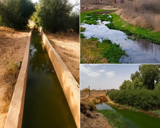 تنغير.. مطالب بإنهاء أزمة المياه العادمة في تودغى السفلى