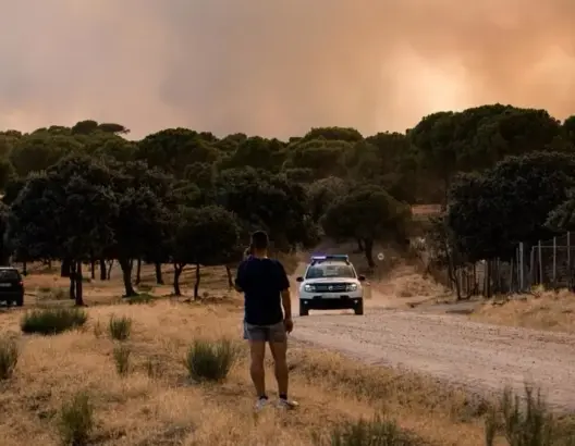 إسبانيا تعلن الطوارئ الوطنية بعد خروج حرائق مدريد عن السيطرة