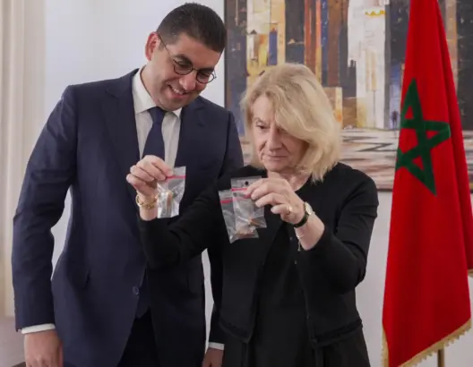 يعود عمرها إلى حوالي 72 مليون سنة.. فرنسا تعيد تسع مستحاثات مغربية عبارة عن أسنان الديناصورات