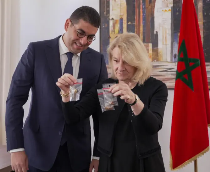 يعود عمرها إلى حوالي 72 مليون سنة.. فرنسا تعيد تسع مستحاثات مغربية عبارة عن أسنان الديناصورات