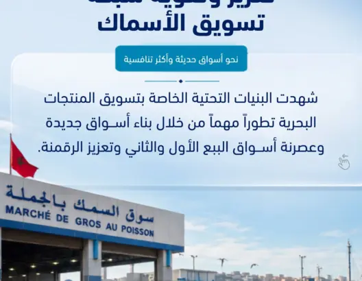تعزيز وتقوية شبكة تسويق الأسماك.. أسواق حديثة ورقمنة واسعة لتقريب الأسماك من المواطن