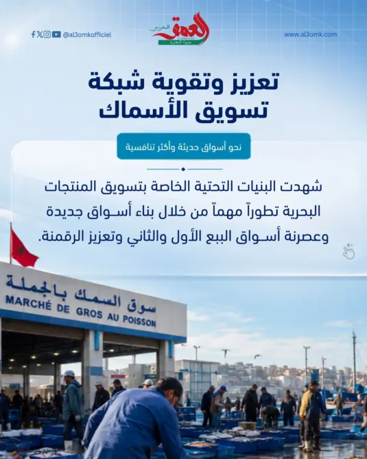 تعزيز وتقوية شبكة تسويق الأسماك.. أسواق حديثة ورقمنة واسعة لتقريب الأسماك من المواطن