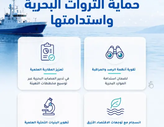 الصيد البحري بالمغرب.. تعزيز البحث العلمي والرصد لحماية الثروات البحرية