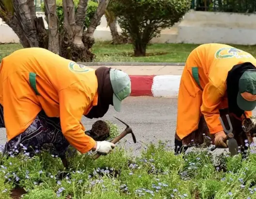 حملات انتخابية مبكرة بضواحي البيضاء تُفجر شبهات استغلال “العمال العرضيين”
