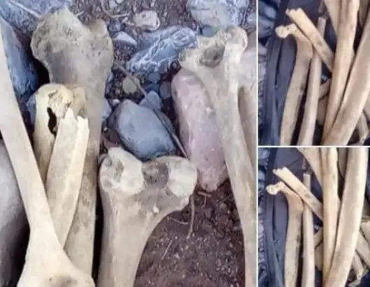الحوز.. العثور على بقايا عظمية داخل ورش لإعادة بناء إعدادية بأسني