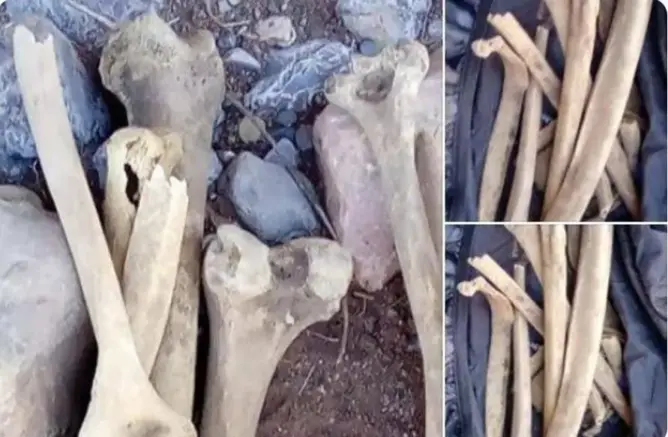 الحوز.. العثور على بقايا عظمية داخل ورش لإعادة بناء إعدادية بأسني