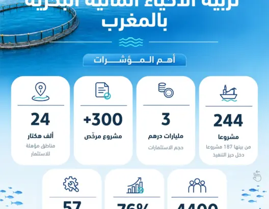 تربية الأحياء المائية بالمغرب.. رهان استراتيجي نحو ريادة الاقتصاد الأزرق وتحقيق السيادة الغذائية